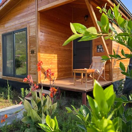 Lemon Garden Lodge Çıralı Eksteriør bilde