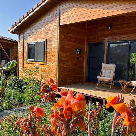 Lemon Garden Lodge Çıralı Eksteriør bilde