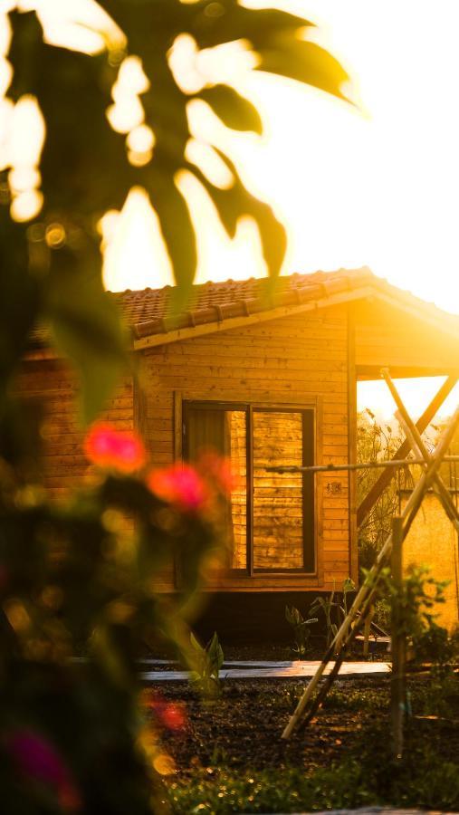 Lemon Garden Lodge Çıralı Eksteriør bilde