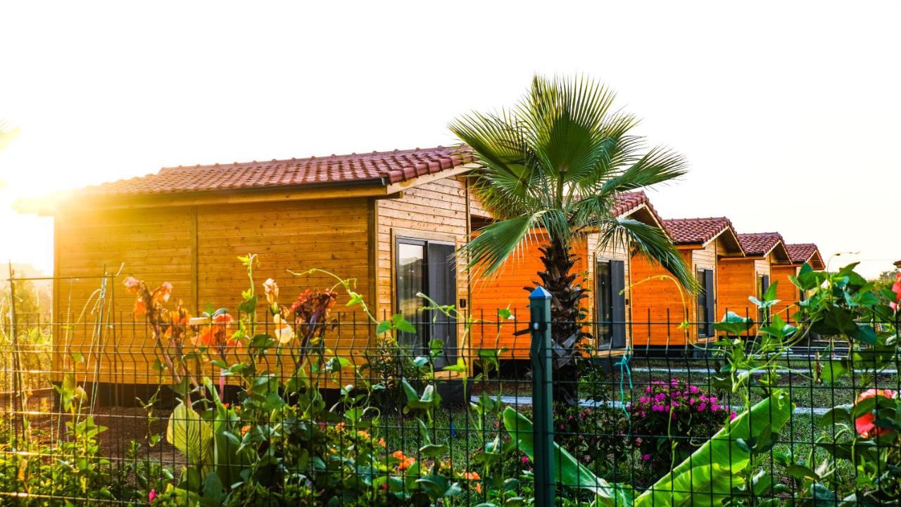 Lemon Garden Lodge Çıralı Eksteriør bilde