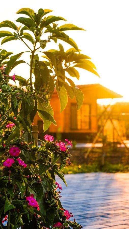 Lemon Garden Lodge Çıralı Eksteriør bilde