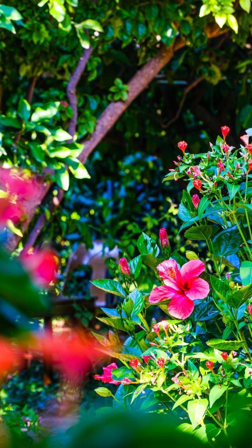 Lemon Garden Lodge Çıralı Eksteriør bilde
