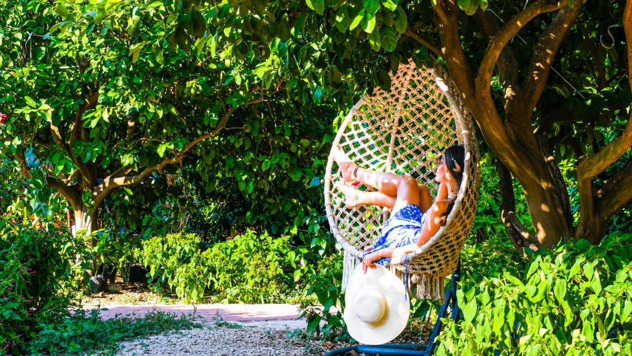 Lemon Garden Lodge Çıralı Eksteriør bilde