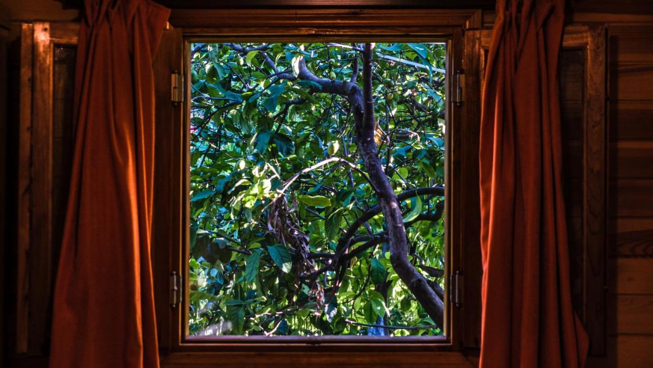 Lemon Garden Lodge Çıralı Eksteriør bilde