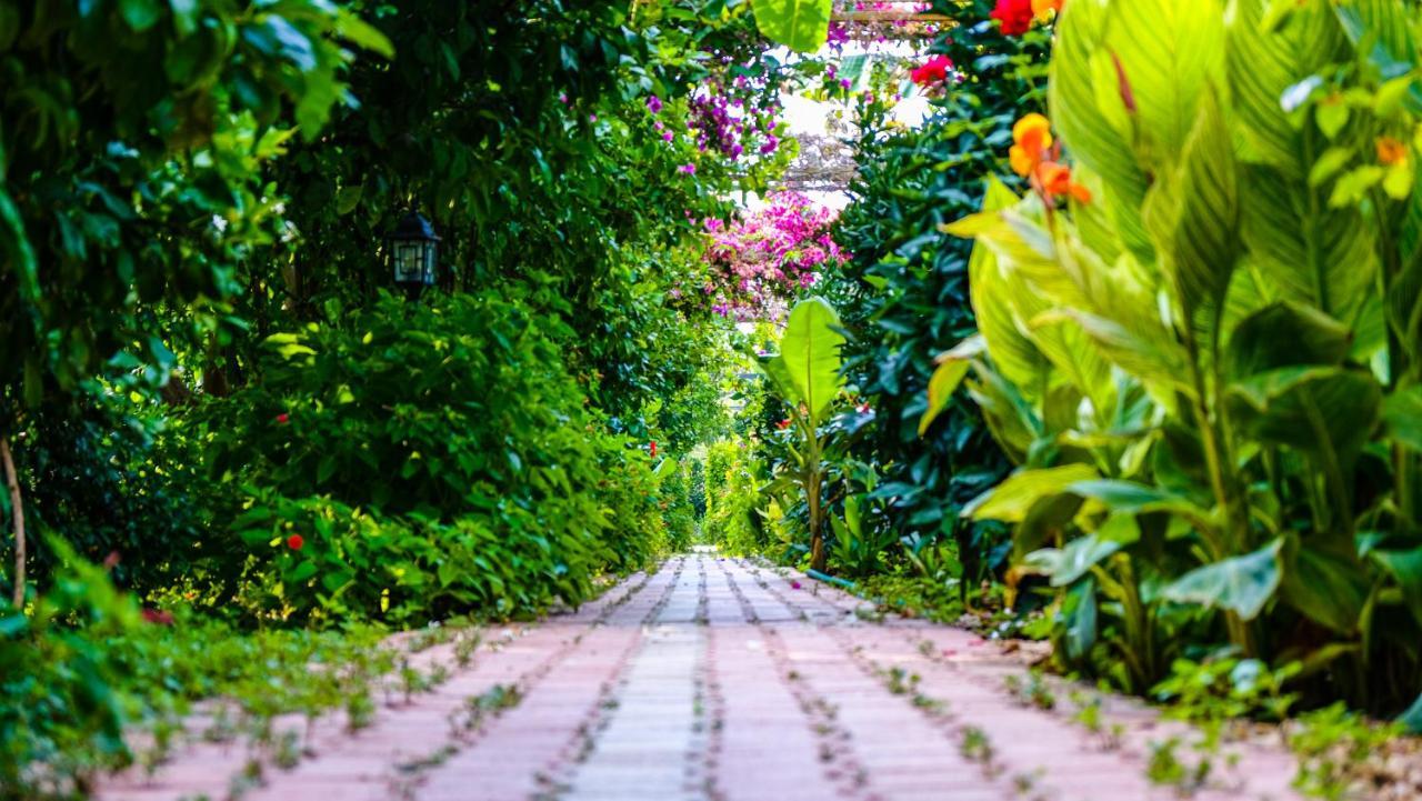 Lemon Garden Lodge Çıralı Eksteriør bilde