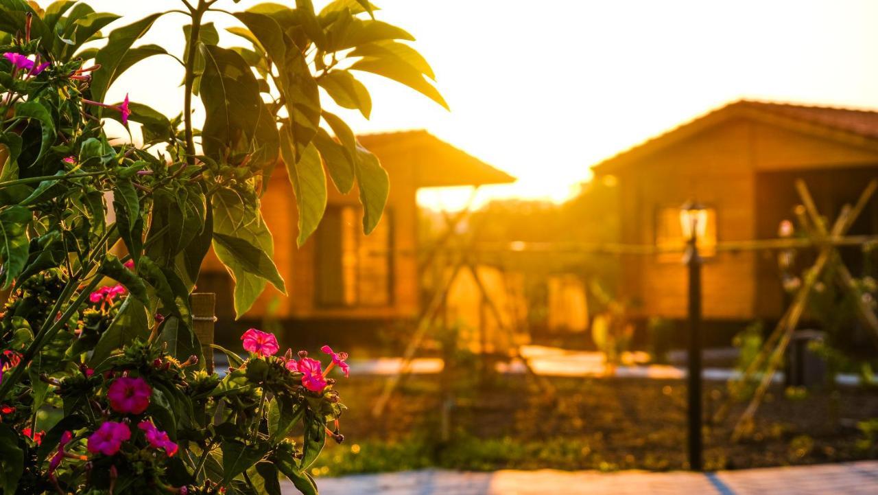 Lemon Garden Lodge Çıralı Eksteriør bilde