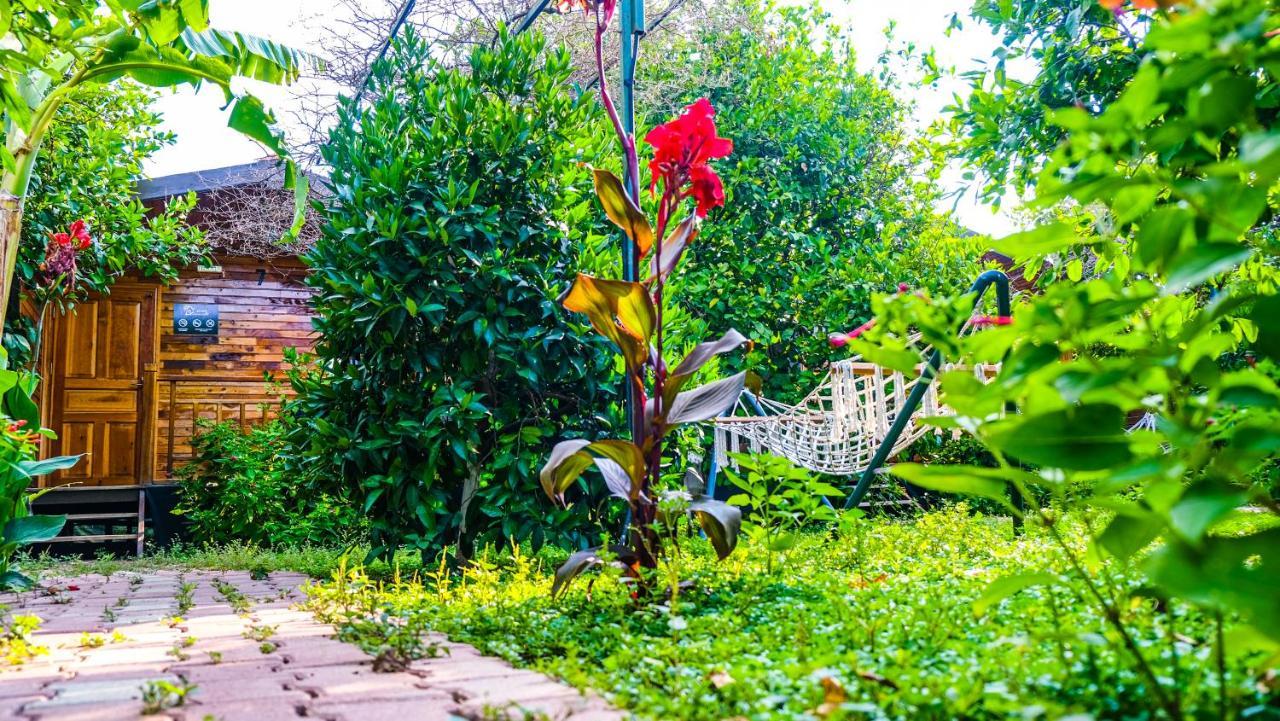 Lemon Garden Lodge Çıralı Eksteriør bilde