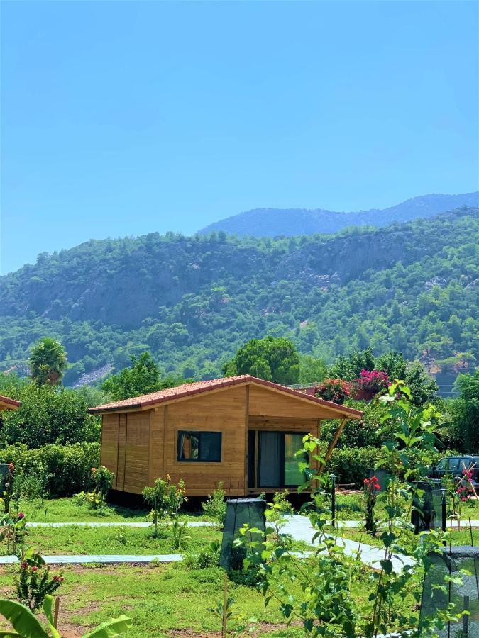Lemon Garden Lodge Çıralı Eksteriør bilde