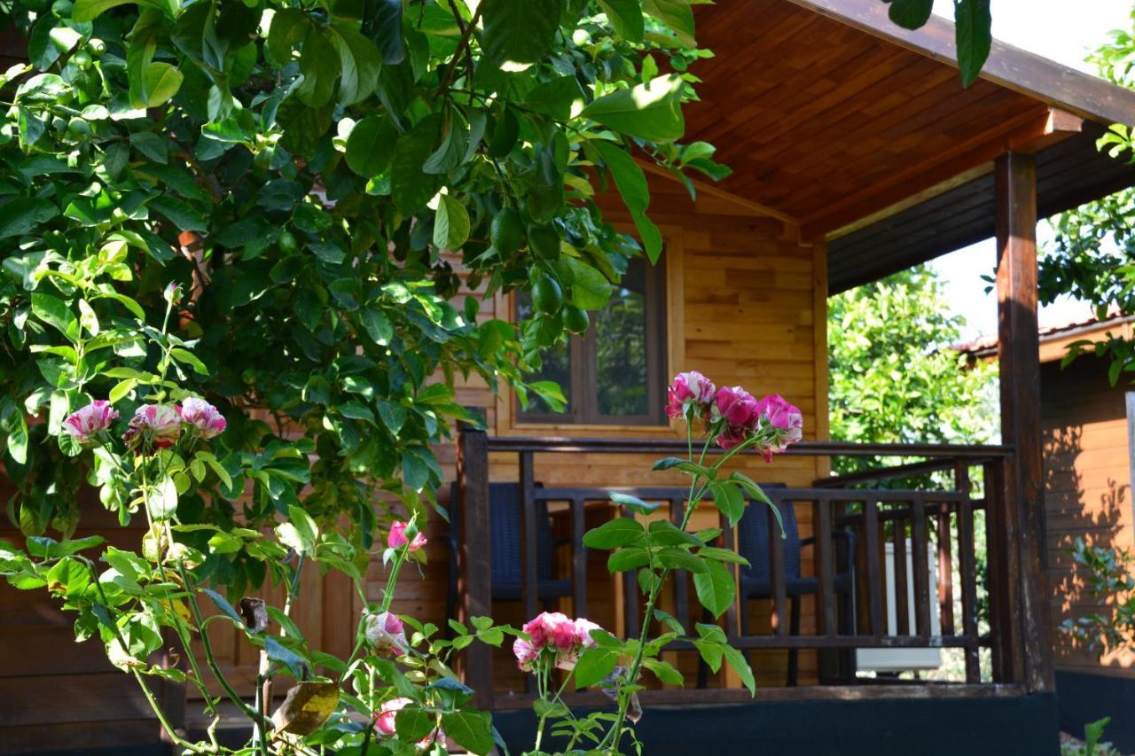 Lemon Garden Lodge Çıralı Eksteriør bilde