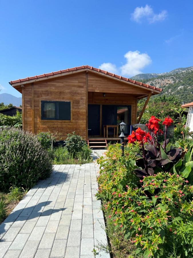 Lemon Garden Lodge Çıralı Eksteriør bilde