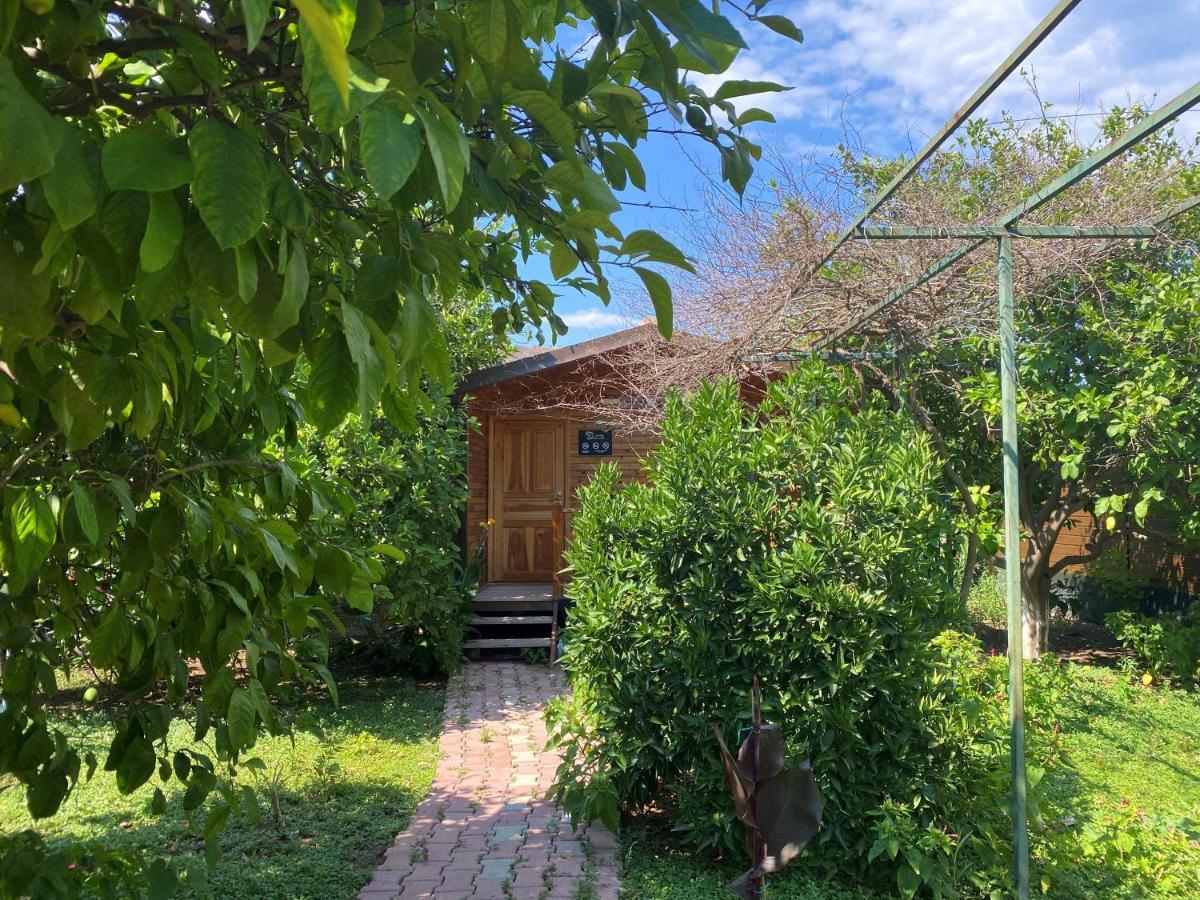 Lemon Garden Lodge Çıralı Eksteriør bilde