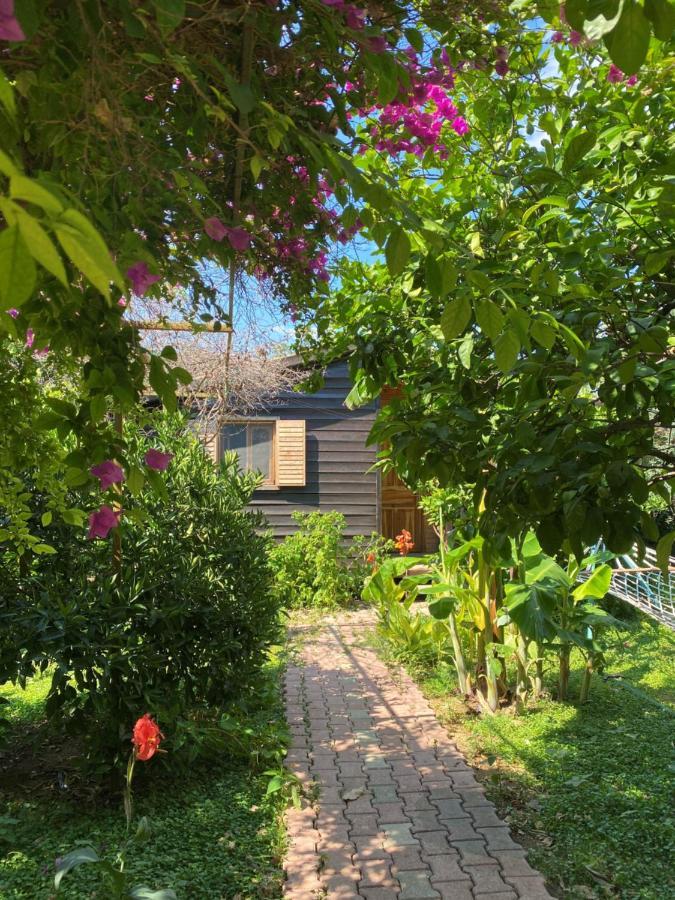 Lemon Garden Lodge Çıralı Eksteriør bilde