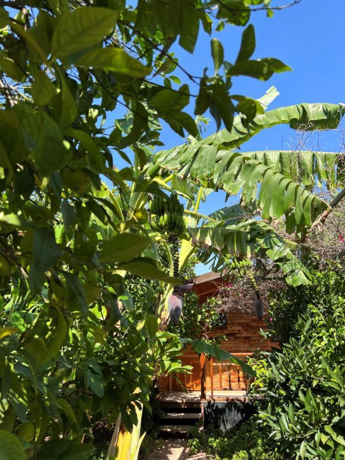 Lemon Garden Lodge Çıralı Eksteriør bilde