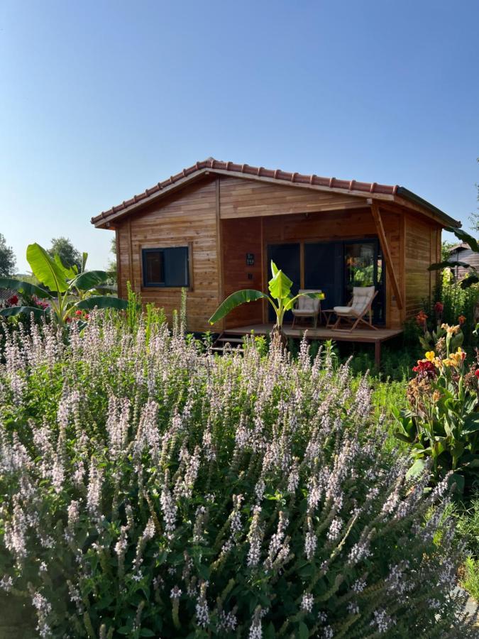 Lemon Garden Lodge Çıralı Eksteriør bilde
