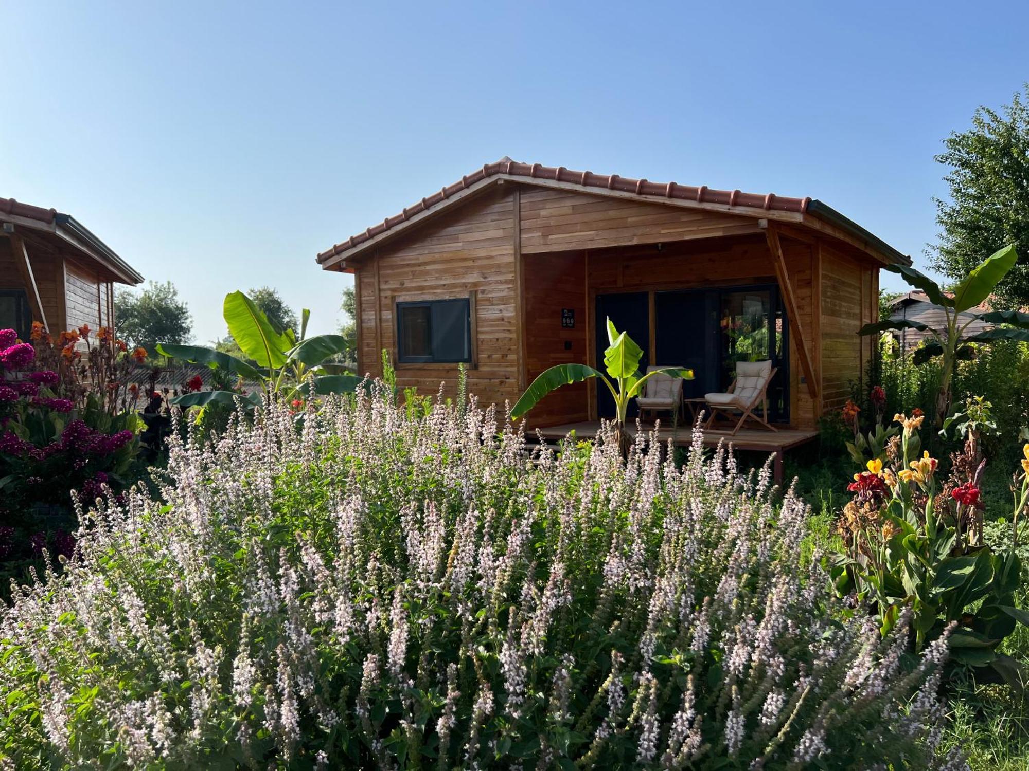 Lemon Garden Lodge Çıralı Eksteriør bilde
