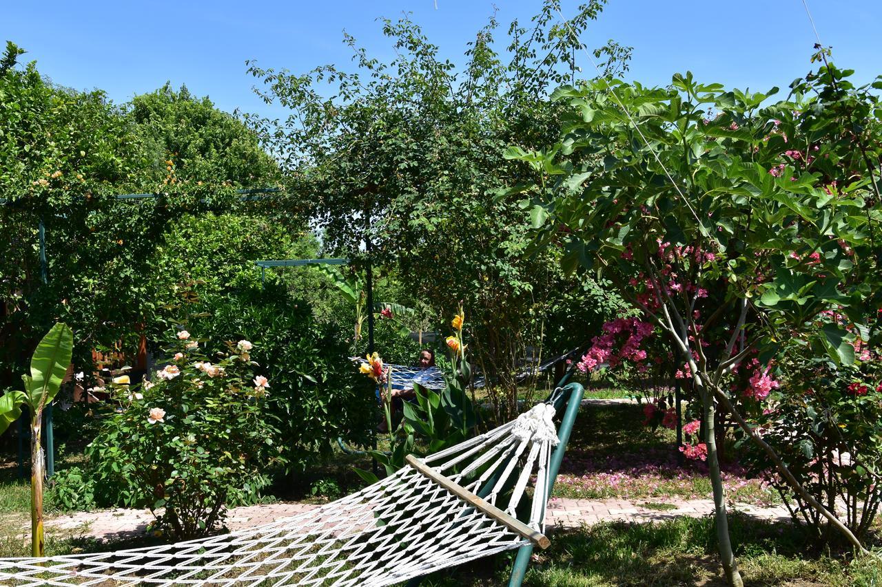 Lemon Garden Lodge Çıralı Eksteriør bilde