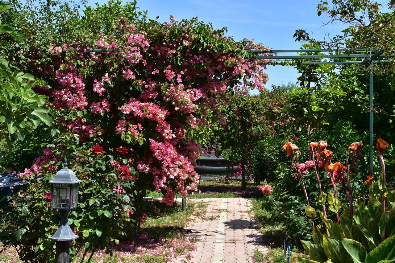 Lemon Garden Lodge Çıralı Eksteriør bilde